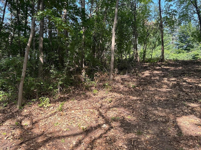 view of local wilderness