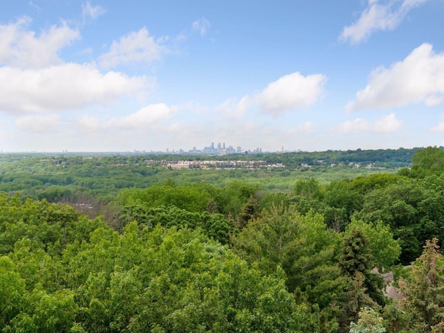 view of local wilderness