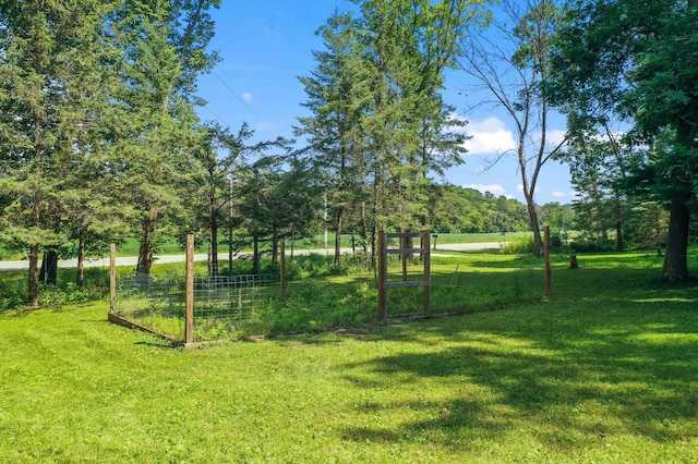 view of yard with a garden