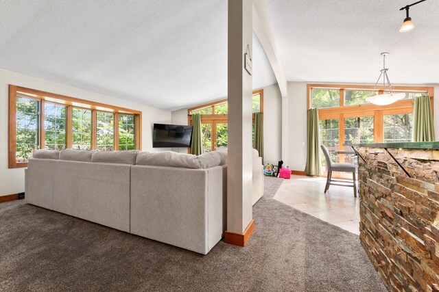 carpeted living room with vaulted ceiling and a textured ceiling