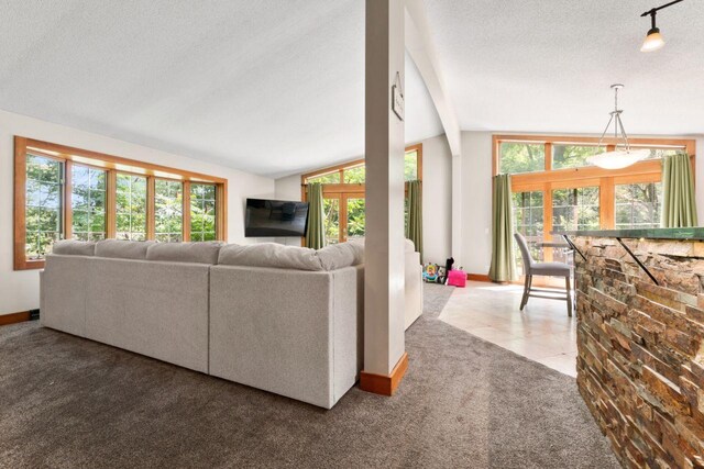 carpeted living room featuring a textured ceiling and lofted ceiling