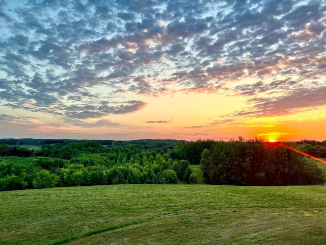 view of yard at dusk