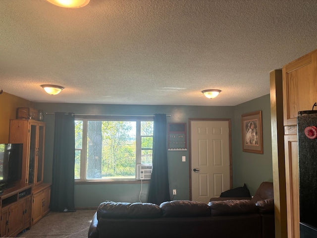 living room featuring a textured ceiling and carpet floors