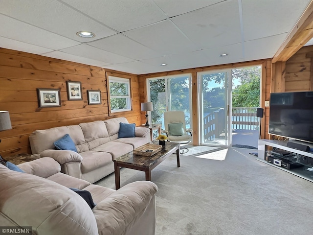 carpeted living room with wooden walls and plenty of natural light