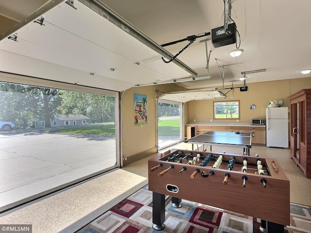 game room with a garage