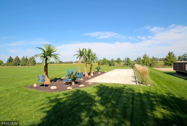 view of yard featuring a patio area