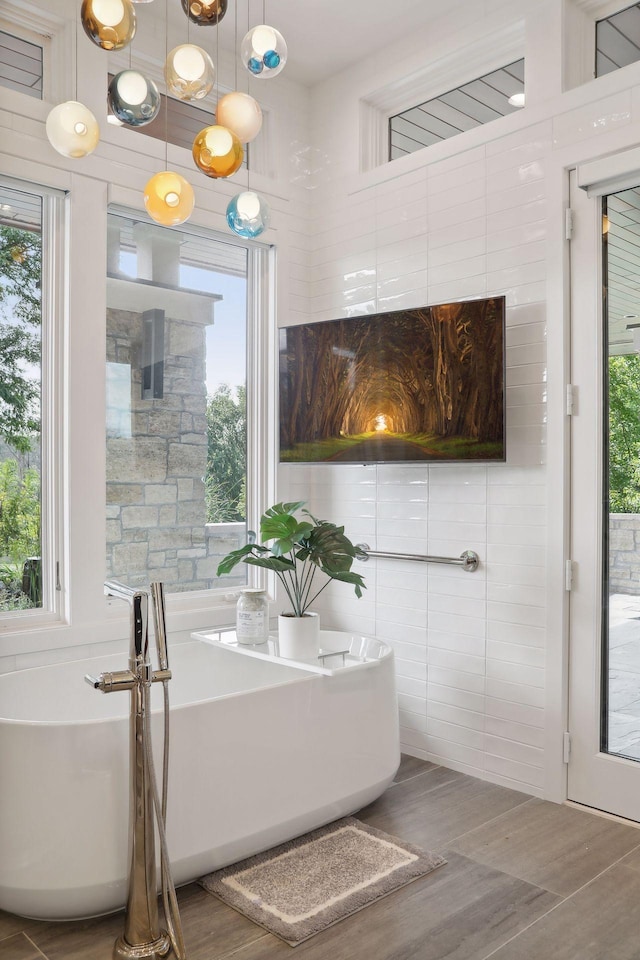 bathroom with a washtub and a healthy amount of sunlight