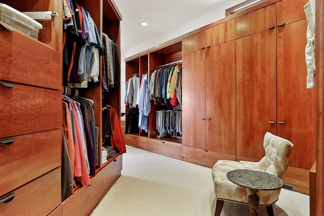 spacious closet with light carpet