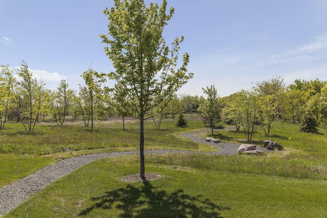 view of property's community featuring a lawn