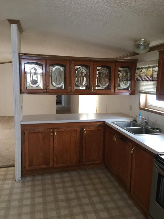 kitchen featuring stainless steel electric range oven, light colored carpet, a textured ceiling, and sink