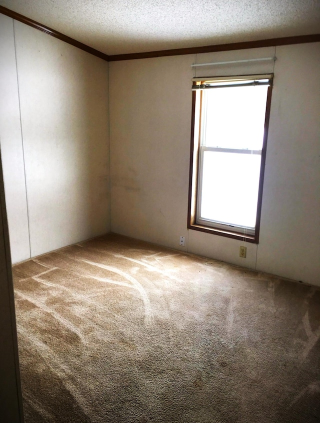 carpeted empty room featuring a textured ceiling