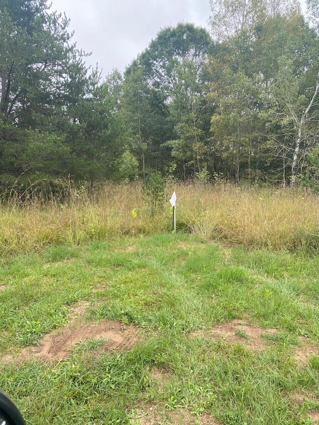 view of local wilderness