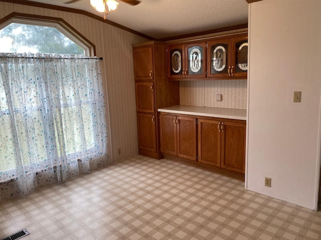 interior space with ceiling fan, a wealth of natural light, a textured ceiling, and vaulted ceiling