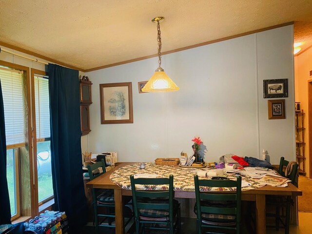 dining room with vaulted ceiling, carpet floors, a textured ceiling, and plenty of natural light