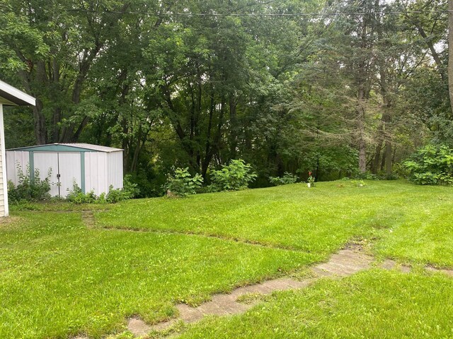 view of yard with a storage unit