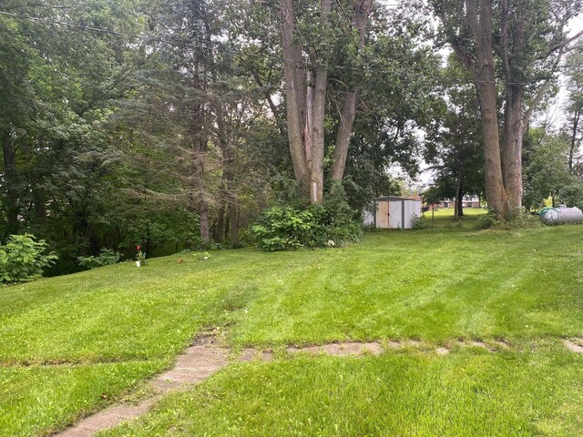 view of yard with a storage shed