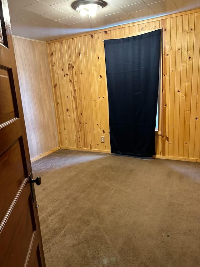 spare room featuring carpet flooring and wood walls