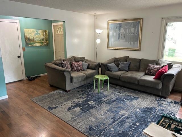 living room featuring a textured ceiling and hardwood / wood-style flooring