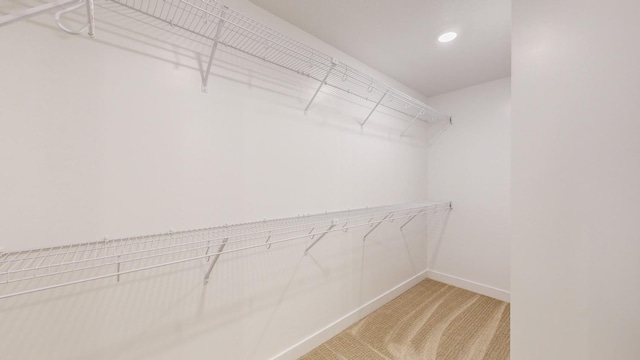 spacious closet featuring carpet floors