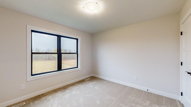 1701 20th Ave Circle NE, Kasson, MN 55944 - spare room with light colored carpet and baseboards
