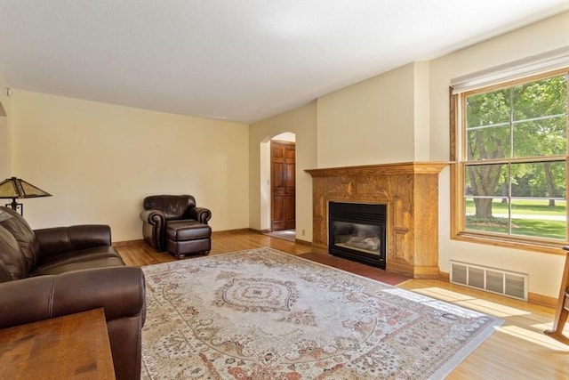 living room with hardwood / wood-style flooring, plenty of natural light, and a fireplace