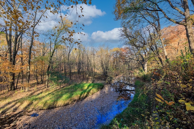 water view with a wooded view