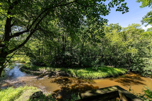 view of local wilderness featuring a wooded view