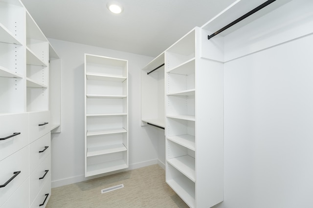 view of walk in closet