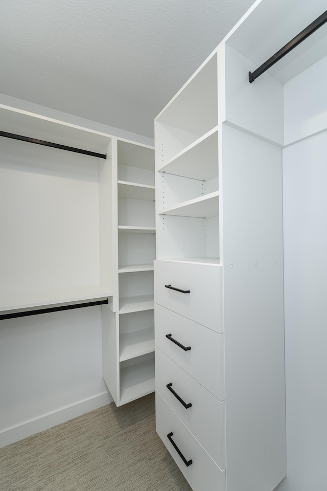 spacious closet featuring light colored carpet