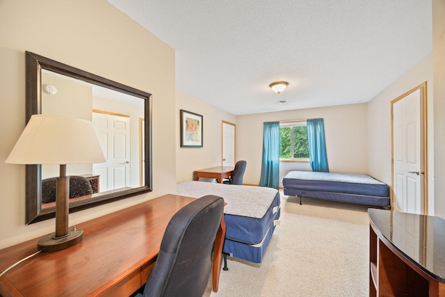 office area with a textured ceiling and light colored carpet