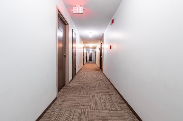 hall featuring light colored carpet