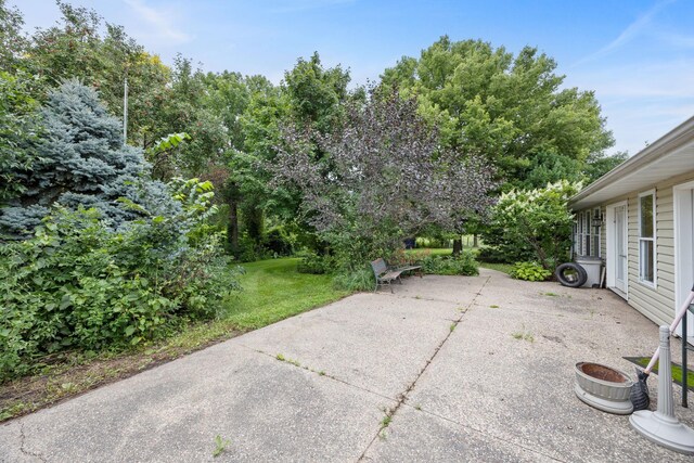 69531-1 213th St, Darwin, MN 55324 - view of patio