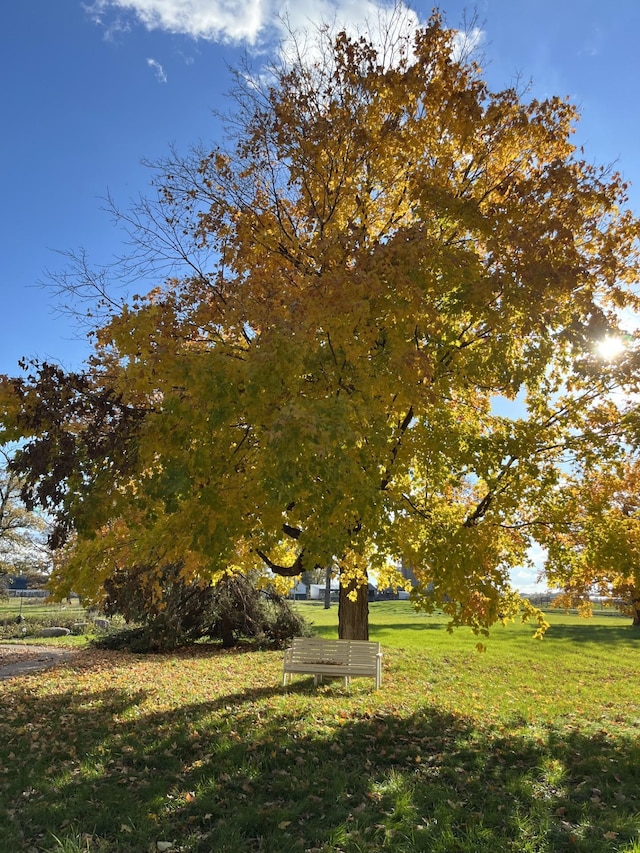 view of home's community with a yard