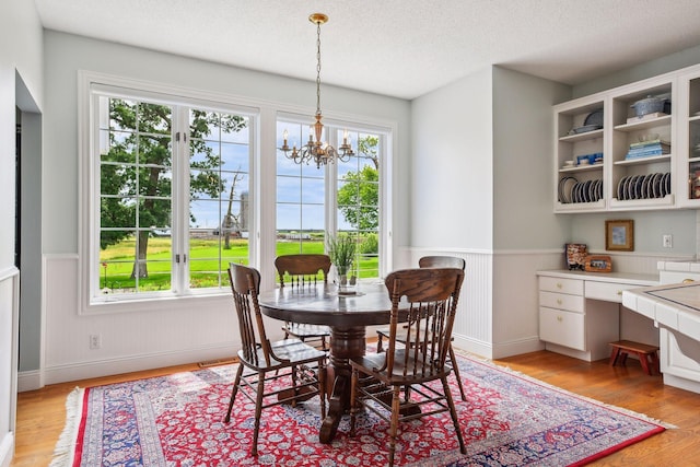 dining room with light wood-type flooring, a wealth of natural light, and a wainscoted wall