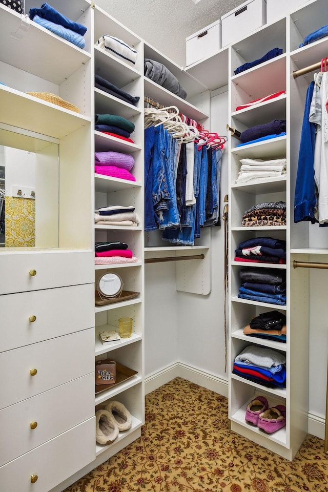 view of spacious closet