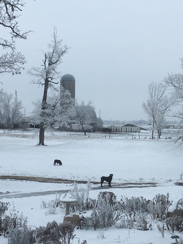 view of snowy yard