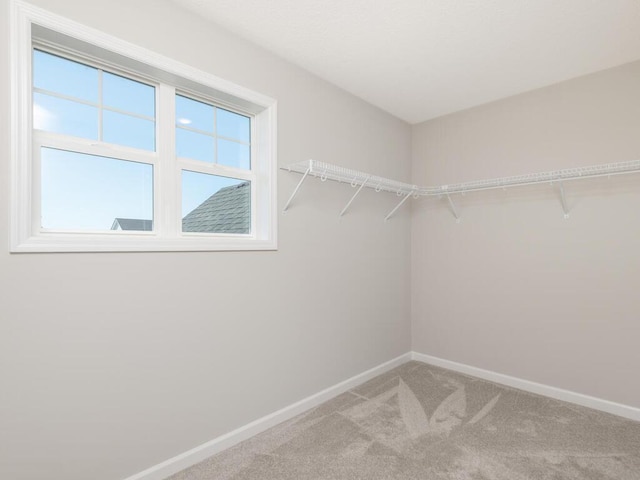 spacious closet with carpet floors