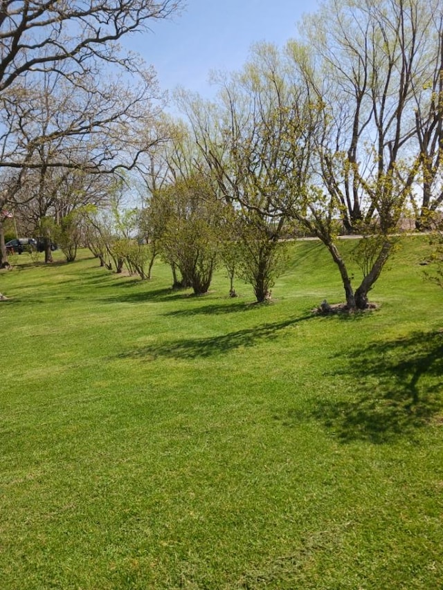 view of community with a lawn