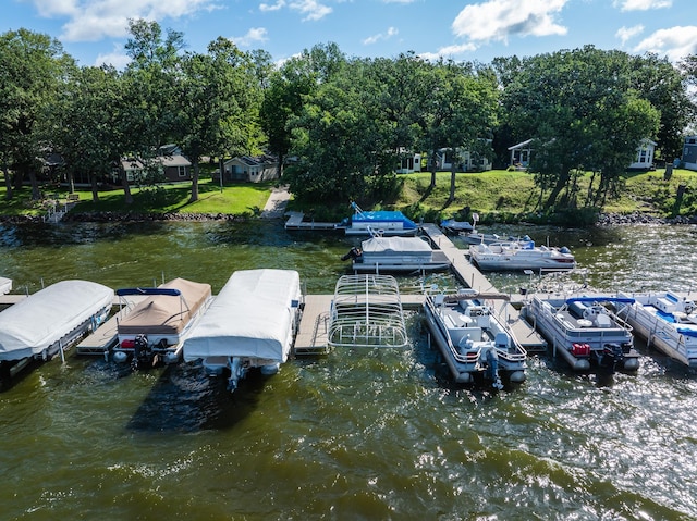 dock area with a water view