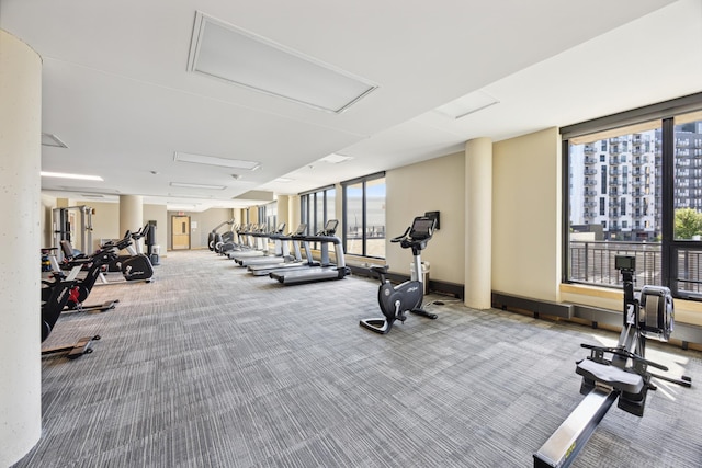 exercise room with carpet flooring and expansive windows