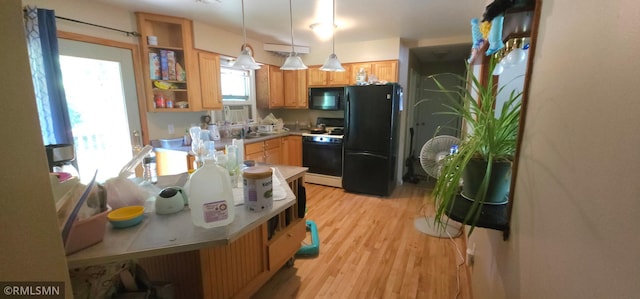 kitchen with black appliances, light hardwood / wood-style flooring, pendant lighting, and sink