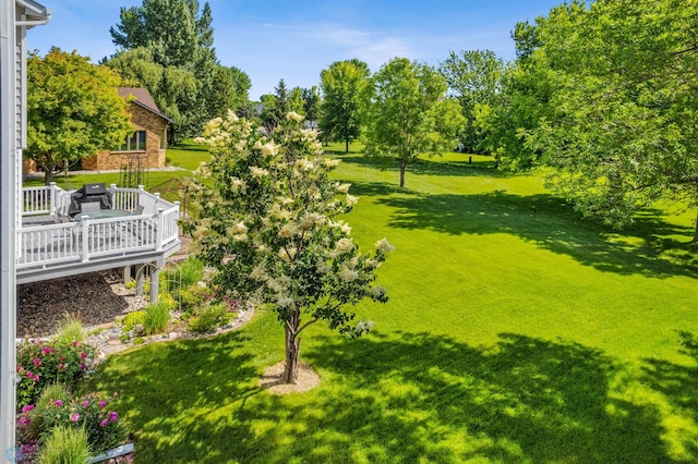 view of yard with a deck