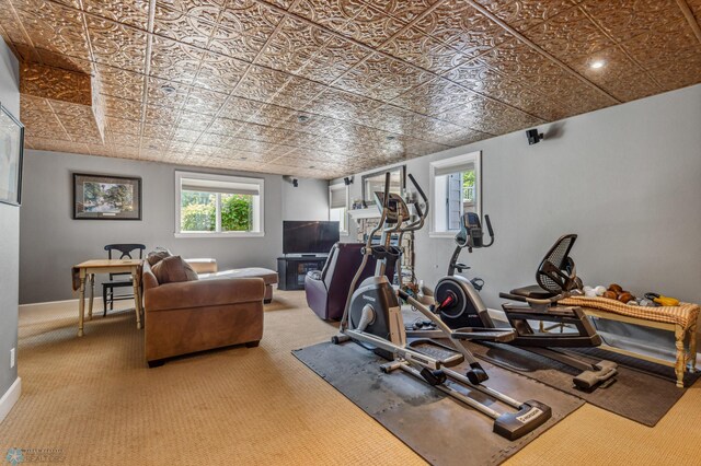 workout area featuring a healthy amount of sunlight and carpet