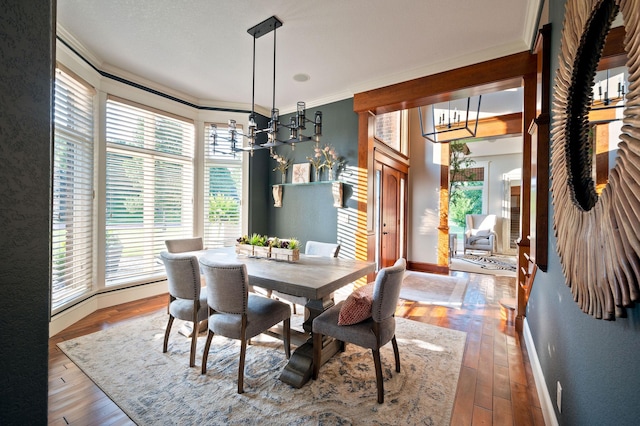 dining room featuring ornamental molding, a healthy amount of sunlight, and hardwood / wood-style floors