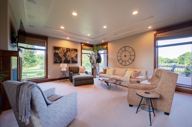 living room featuring light colored carpet and a raised ceiling