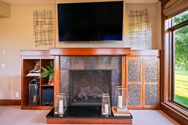 room details with a fireplace and carpet