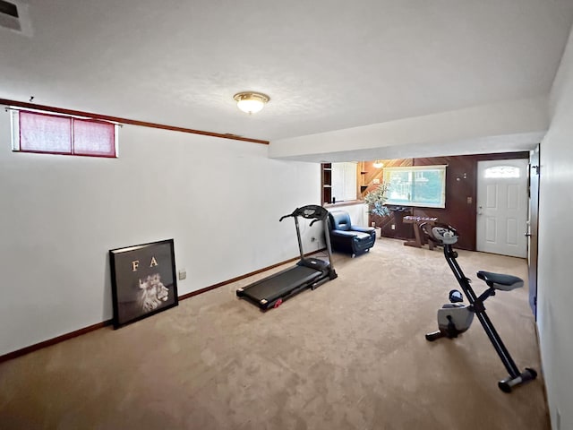 exercise area featuring carpet floors