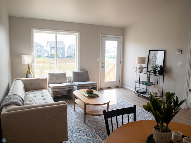 living room featuring plenty of natural light and light hardwood / wood-style flooring