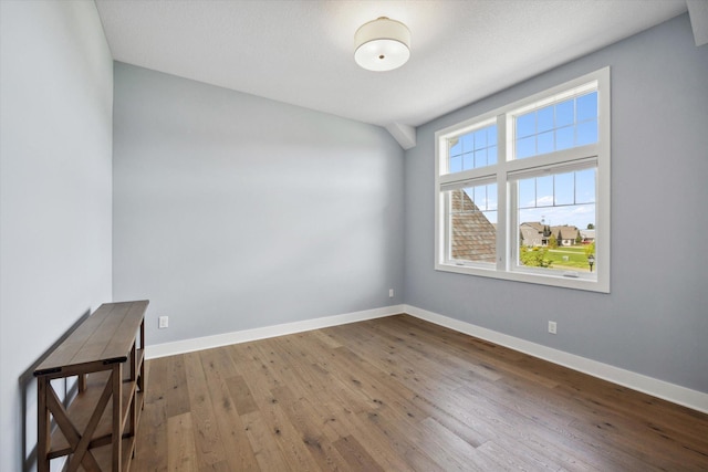 spare room featuring wood-type flooring