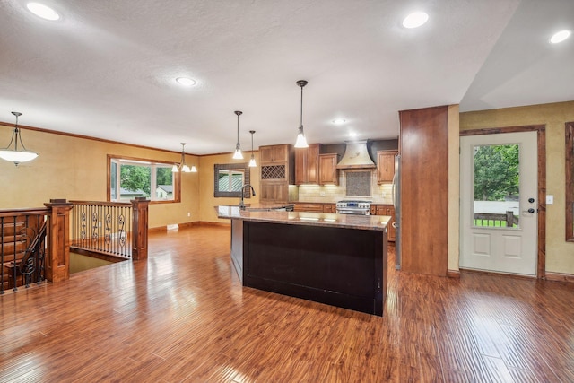 kitchen with custom exhaust hood, appliances with stainless steel finishes, hanging light fixtures, and dark hardwood / wood-style floors